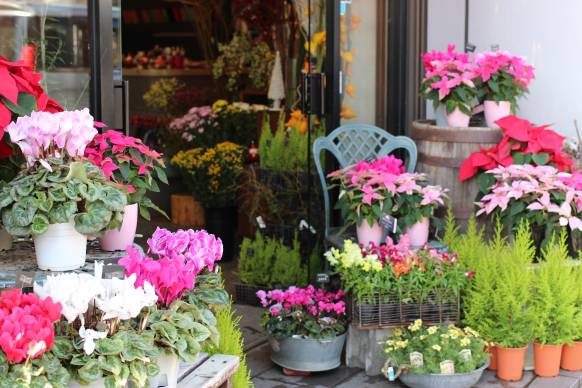 「その生花店」　（静岡県伊豆の国市）の花屋店舗写真1
